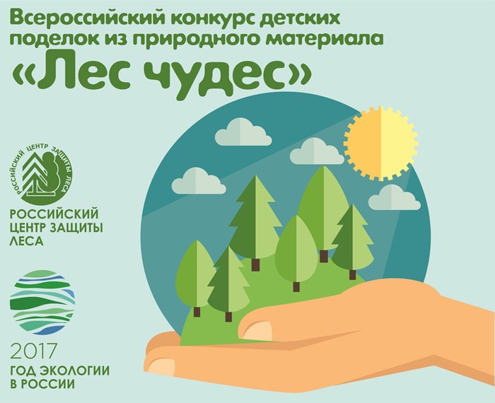 Кировские ребята примут участие во всероссийском конкурсе «Лес чудес»