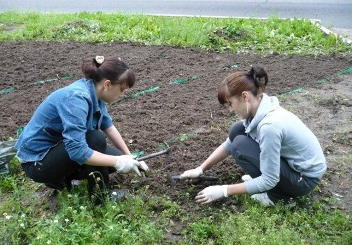 Летом в Кировcкой области трудоустроят 8,5 тыс. подростков