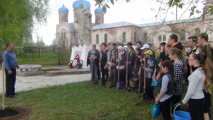 В Кировской области посадили 9 тысяч деревьев