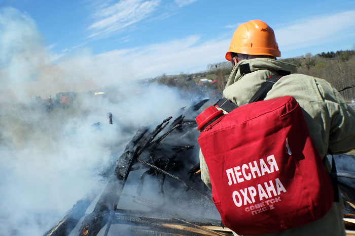 В Кировской области ликвидированы более 40 лесных пожаров