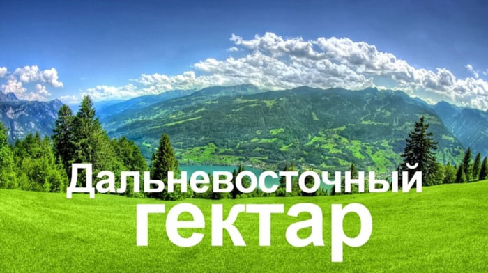 В центрах госуслуг «Мои документы» начат приём заявлений на «дальневосточный гектар»