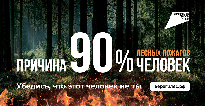 Камеры круглосуточного наблюдения и квадракоптеры следят за лесами Кировской области
