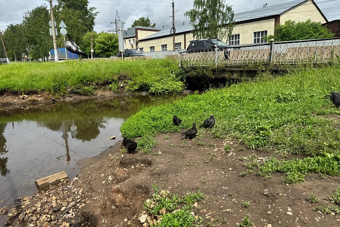 Реку Чумовицу в Нововятском районе Кирова очистили