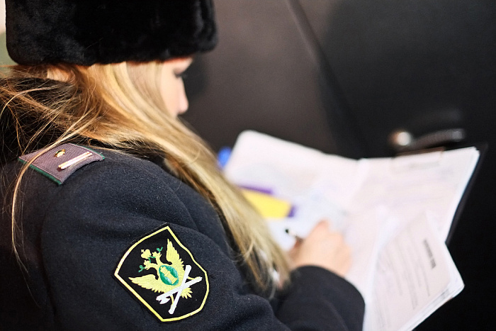 В Кирове арестованы ещё два автомобиля должников по налогам