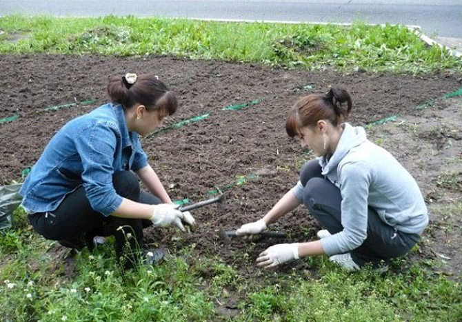 Летом в Кировcкой области трудоустроят 8,5 тыс. подростков